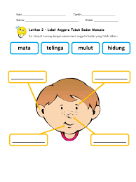 √ verified pass quality & scientific checked by advisor, read our quality. Label Anggota Badan Manusia