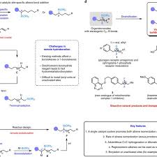 Do that, and click unlock, as it is carrier locked but inactivated. The Significance And Challenges Involved In Developing Remote Download Scientific Diagram