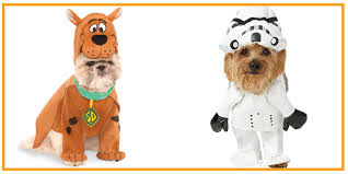 35 Funny Dog And Puppy Costumes For 2019 Cute Pet