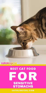 Best cat food for firm stool and sensitive stomach: Does Your Cat Have A Sensitive Stomach Is She Vomiting Or Does He Have Frequent Diarrhea You Might Need To Best Cat Food Cat Food Sensitive Stomach Cat Food