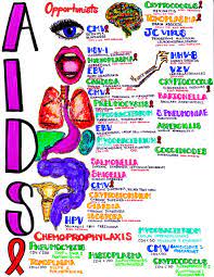 Insta Anatomy Nursing School Studying Nurse Teaching Nursing School Survival