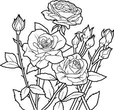 Roses are red, but they don't always have to be when it comes to your little one's creativity. Floral Coloring Pages Flower Coloring Pages Rose Flower Coloring Pages Roses And Flowers Colori Rose Coloring Pages Flower Coloring Pages Garden Coloring Pages