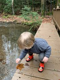 If you want to get your kids, then enjoy the nature; Art And Play Activity Guide For Kids In Quarantine Week 1 Artbar