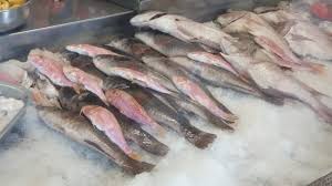 In der küchensprache wird er im deutschen sprachraum auch loup de mer genannt, was im französischen jedoch den gefleckten seewolf und den gestreiften seewolf bzw. Das Beste Fischrestaurant In Las Palmas Amigo Camilo