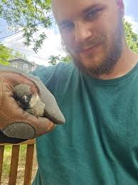 TOP 10 BEST Pest Control in Baltimore, MD