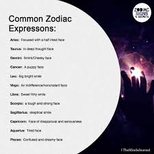 Common Zodiac Expressions Zodiac Star Signs Zodiac Zodiac Signs Gemini