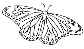 It was printed and downloaded many times from june 25, 2014. Printable Butterfly Coloring Pages Coloringme Com