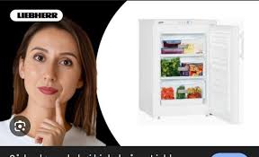 hi, I live in Puerto Banus and have an incredibly small freezer.. I don't  know if there's a place where you can rent space in a freezer, we have that  where I'm