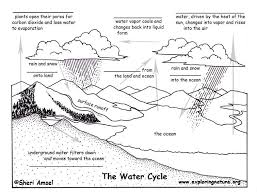 Cycles In Nature Worksheet The Blank Quiz Water Cycle Exploring Nature Educational Water Cycle Worksheet Water Cycle Activities Water Cycle Diagram