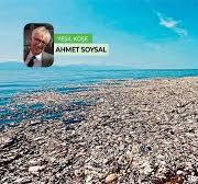 Kuzey Pasifik Okyanusu'ndaki yüzen plastik adasından ...