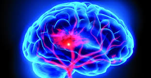 A importância e o perigo de se ter um aneurisma cerebral é possibilidade deste se romper e causar um acidente vascular cerebral (avc) do tipo hemorrágico. O Que E Aneurisma Cerebral Abdominal Etc Sintomas Tem Cura