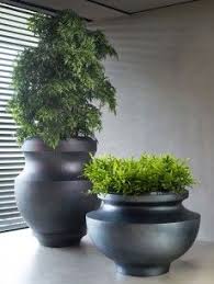 Wohlfuhlen Mit Pflanzen Planten Water Indoor Outdoor