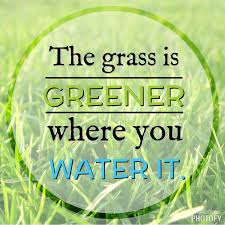 The grass always looks a little greener on the other side of the fence. The Grass Is Greener On The Other Side Essay