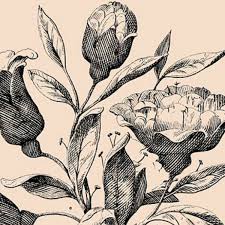 We did not find results for: How Many Faces Can You Spot In This Viral Drawing Of Flowers Daily Star