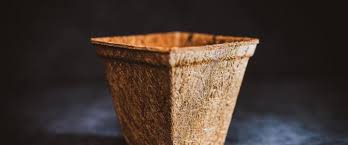 Give your plants somewhere beautiful to live! Biodegradable Pots Biodegradable And Compostable Pots