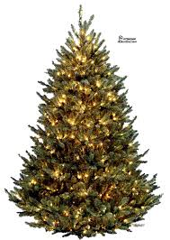 Pin On Christmas