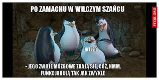 Codziennie dostarczamy najświeższy sort memów na viralowe tematy z obecnych wydarzeń. Robert Maklowicz Stejk