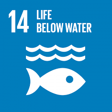 A practical tool for companies seeking to align their operations with the sdgs, and be able to measure and manage their contribution. Sustainable Development Goals International Partnerships