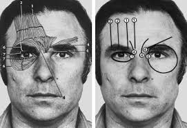 Facial Action Coding System Paul Ekman Group