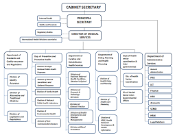 Organizational Structure Ministry Of Health