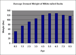 south texas deer harvest data