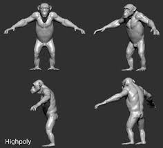 Chimp 3d Max Chimp Chimpanzee Face Anatomy