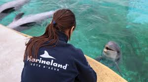 marineland