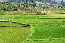 Discover the country of mora mora (or take it easy!), help protecting the endangered. Farmlandgrab Org Madagascar To Lay Focus On Land Governance In Its Agricultural Investment Plan
