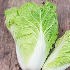 Chinese Cabbage Seeds Michihili Cabbage Seeds Vegetable Seed Fall Vegetables