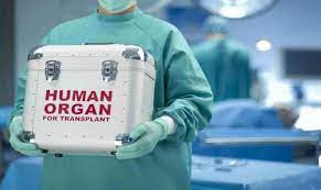 Drona a transportat rinichiul pe o distanţă de 16 kilometri peste deşertul las vegas. Ireal Cat CostÄ Trupul Unui Roman Pe PiaÈa NeagrÄ Mafia Organelor RÄpeÈte Oameni FÄrÄ AdÄpost Impact