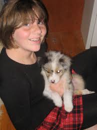 Catori Australian Shepherds