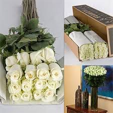 Unfortunately, costco does not ship to forwarders, but you can take advantage of our shop for me service. Red Roses Bulk Costco