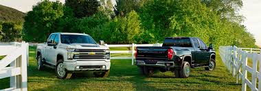 Image result for Dark Yellow Green 2020 Fleet