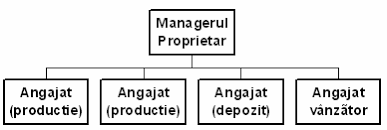 Model organigrama firmă organigrama definiție organigrama exemple. Http Www Mpt Upt Ro Doc Curs Gp Bazele Managementului Functia De Organizare Cap3 Pdf