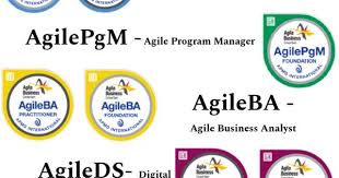 Dsdm Certifications With Images Agile Project Management Programme Manager Program Management