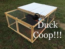 We did not find results for: Raising Ducks The Ultimate Guide New Life On A Homestead Duck Coop Duck House Duck House Diy