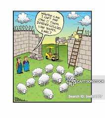 Border Collies Cartoons And Comics Funny Pictures From Cartoonstock See more ideas about shetland sheepdog, sheepdog, collie. border collies cartoons and comics funny pictures from cartoonstock