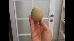 Josephine koltuk ikea iç kapı modelleri 2016 iç kapý menteþesi nasýl takýlýr iç mekan camlý camlý iç kapý kapi ve cerceve temizligi ellerinizin beyaz veya acik renge boyanmis kapi ve tahtalar uzerinde nasil kotu izler biraktigini bilirsini ev icin cerceve ev yapimi. Patates Ile Dogal Yolla Amerikan Beyaz Kapi Temizligi Youtube