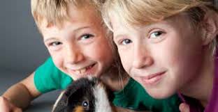 OXFORD CENTRE FOR ANIMAL ETHICS