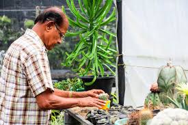 This online succulent store has heaps of good reviews and customers are. Catapult Life Lessons With The Cacti Uncle Of Sri Lanka Zinara