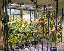 We did not find results for: The Indoor Sun Growing Orchids Under High Intensity Led Grow Lights