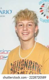 27 Steve Stefan Royalty-Free Images, Stock Photos & Pictures