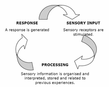 sensory processing and sensory integration jenifer l burke