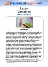In steuerklasse 6 sind die abzüge besonders hoch. Sachtexte Tiere Sachtexte Lesen Deutsch Klasse 3 Grundschulmaterial De