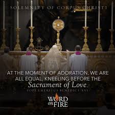 Luke points us in a slightly different direction. At The Moment Of Adoration We Are All Equal Kneeling Before The Sacrament Of Love Pope Emeritus Bened Sacrament Eucharistic Adoration Catholic Catechism