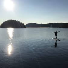 Queen's summer engineering academy (qsea) connections: Zen Muskoka Yoga Bracebridge Yoga Studio