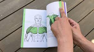 Dynamic life drawing for animators. Dynamic Drawing Books With Force