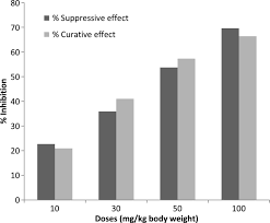 Image result for Sorindeia juglandifolia
