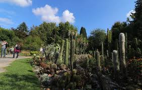 Grădina botanică din erlangen (ro); Botanischer Garten Freizeit Frankenjura Com