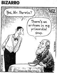 Darwin S Primordial Soup Funny Quotes Teacher Humor Biology Humor